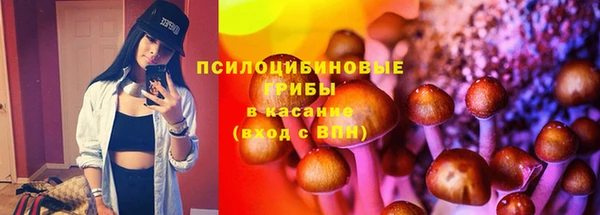 стаф Михайловка