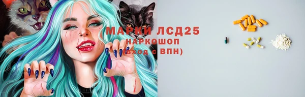 СК Михайлов