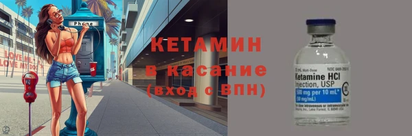 гидра Надым