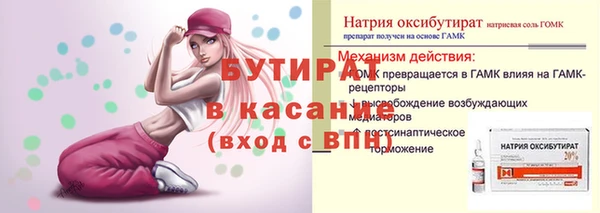 гидра Надым