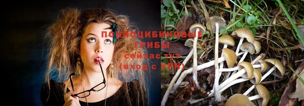 мдпв Навашино