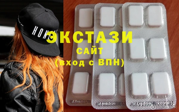 гидра Надым
