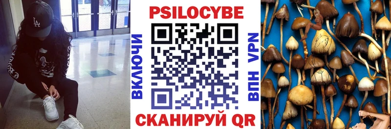 Псилоцибиновые грибы MAGIC MUSHROOMS  Тайга 